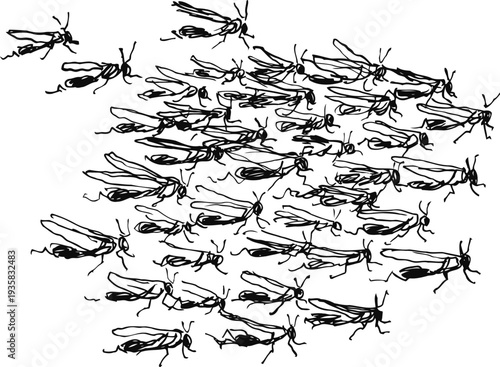 Swarm of black insects in flight, many small winged bugs clustered together, entomology drawing
