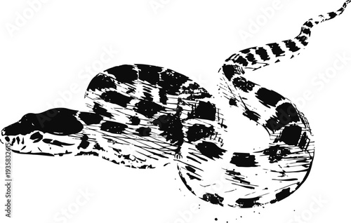 black and white illustration of a coiled snake with detailed scales and patterns