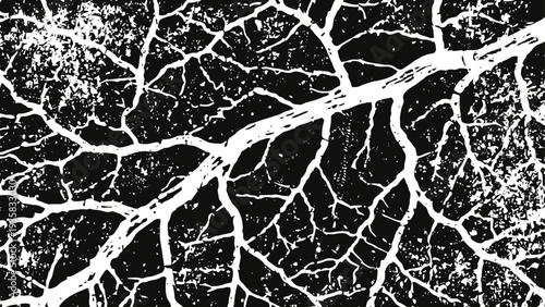 Black and white abstract cracked texture with intricate vein like patterns and distressed surface details