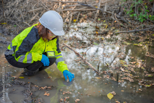 Fotografie Environmental engineers inspect water quality,Bring water to the lab for testing,Check the mineral content in water and soil,Check for contaminants in water sources