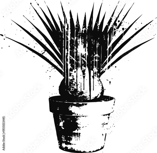 Black and white grunge cactus in a round pot with long sharp spines silhouette illustration