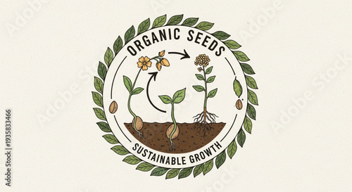 Vintage-style circular emblem featuring a leaf wreath and a plant life cycle diagram showing growth from seed to flower. Labeled 'ORGANIC SEEDS' and 'SUSTAINABLE GROWTH'.