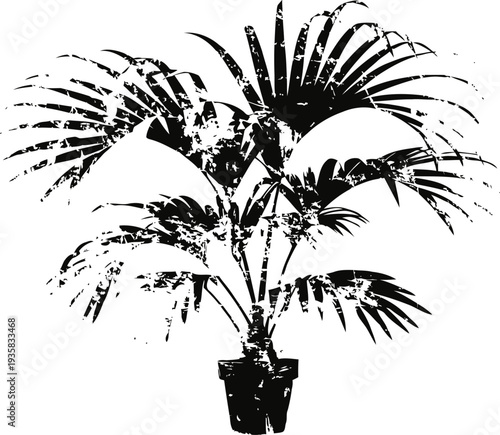 decorative potted palm plant silhouette with large fronds for tropical indoor greenery