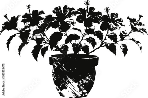 Potted hibiscus plant with blooming flowers and large leaves silhouette illustration