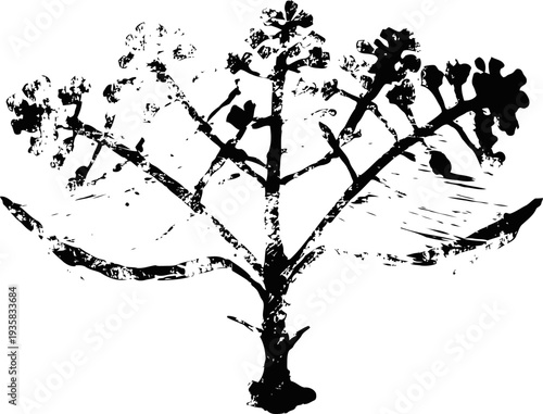 Black silhouette of a flowering plant with spreading branches and clustered buds