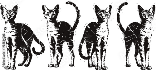 Stylized black and white cat illustrations in varied poses, abstract feline design art