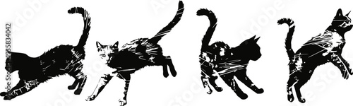 playful black kitten in multiple action poses cute cat, movement, pet, energetic feline stages