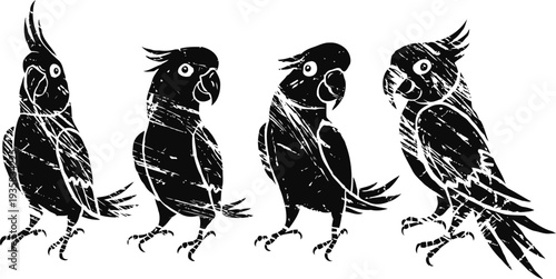 Silhouette of four cockatoos in different poses with crest feathers and claws