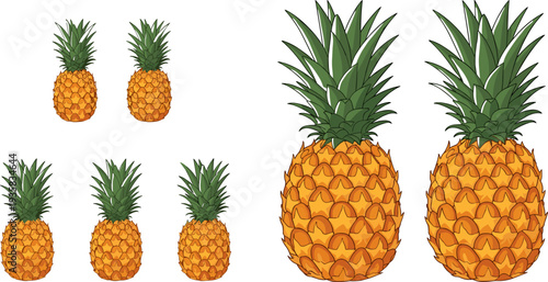Pineapple Icon Set Featuring Small and Large Pineapple Variations with Detailed Tropical Fruit Illustration for Fresh Juice Design and Healthy Food Graphics