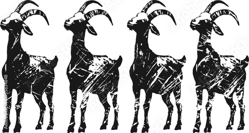 four black goats standing side by side with textured fur and curved horns on white background