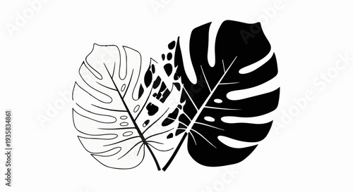 Monstera leaves in striking black and white graphic design