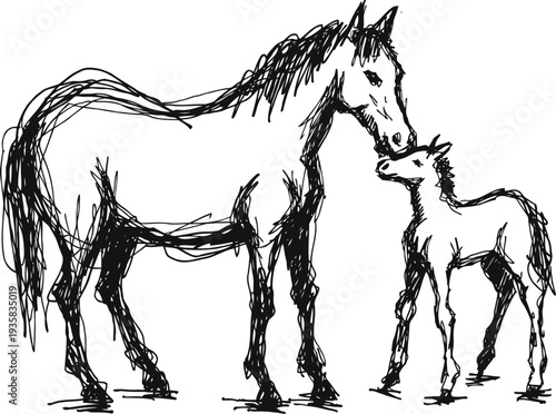 sketch of a horse and foal touching noses, hand drawn animal illustration, tender moment