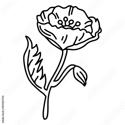 Poppy long stemmed flower stroke