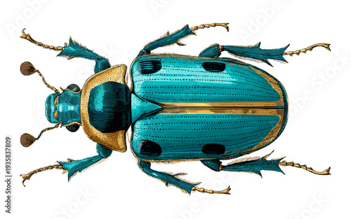 Detailed illustration of a vibrant turquoise and gold scarab beetle with intricate linework
