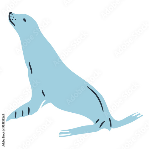 Doodle seal illustration