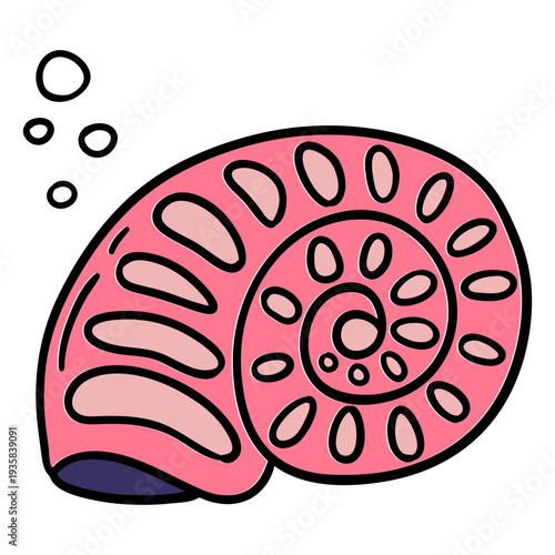 Magic seashell hand drawn