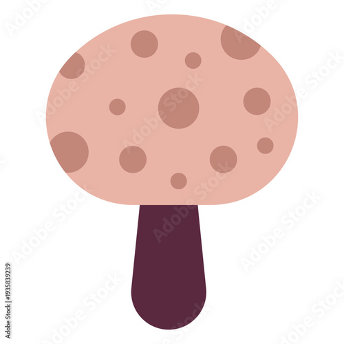 Magician mushroom flat