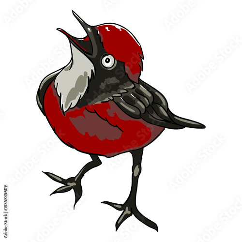 Realistic bird beak open illustration