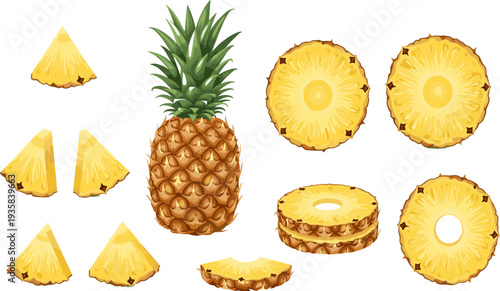 Pineapple Icon Set Featuring Whole Pineapple, Pineapple Slices, Rings and Triangular Pieces for Tropical Fruit Design, Fresh Juice Graphics and Healthy Food Illustration