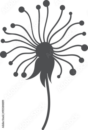 Summer botany element. Black dandelion flower icon