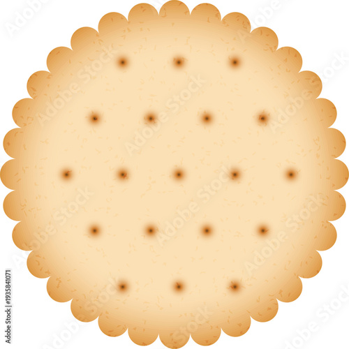 Round biscuit. Crunchy snack. Salt fresh cookie
