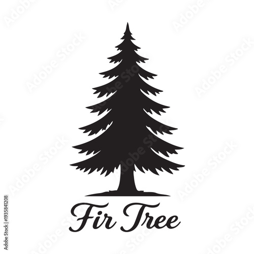 Fir tree silhouette isolated on white background, evergreen coniferous vector illustration