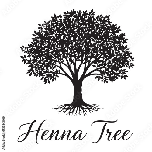 Henna tree silhouette with visible roots isolated on white background, lawsonia inermis vector illustration