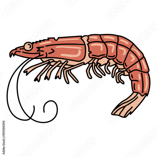 Stroke prawn animal