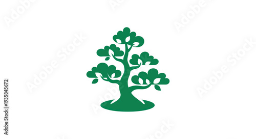 Green bonsai tree isolated on white