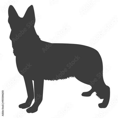 German shepherd standing silhouette
