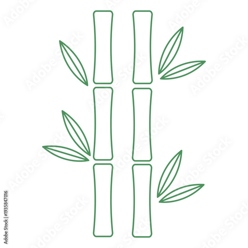 Fotografie Plant bamboo green wood stroke