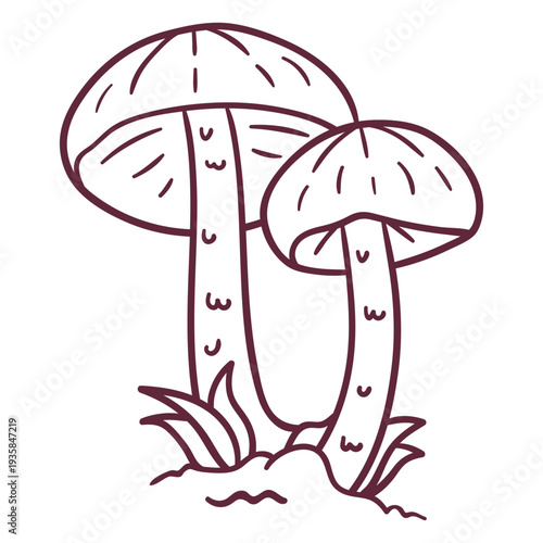 Fungus fly amanita stroke