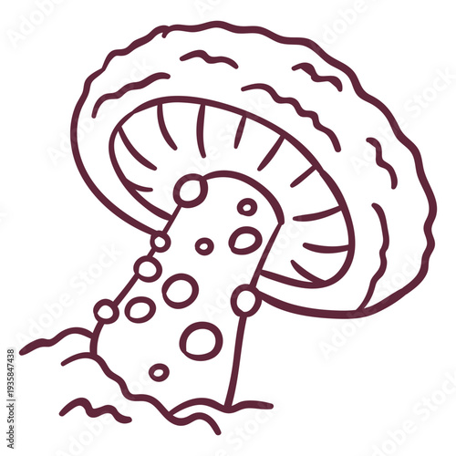 Toadstool fungus stroke