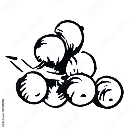 Mistletoe berries black and white illustration mistletoe