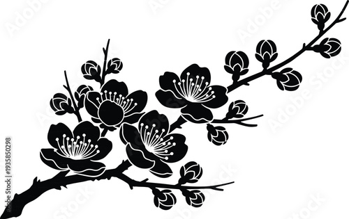 Stylized black and white illustration of a cherry blossom branch with flowers and buds on a white background