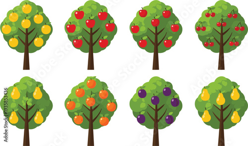 fruit trees collection isolated on white background, apple orange lemon plum pear orchard plants, colorful garden harvest illustration, botanical agriculture design