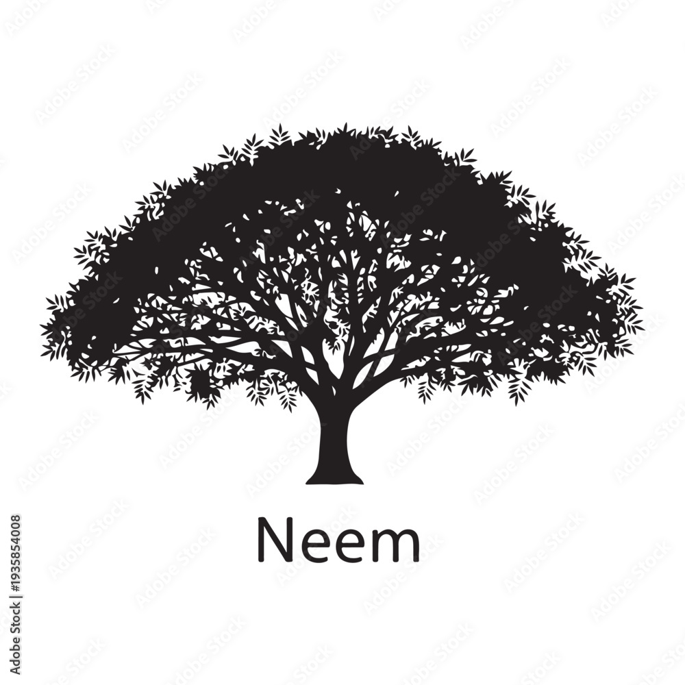 Obraz premium Neem tree silhouette isolated on white background, medicinal plant vector illustration