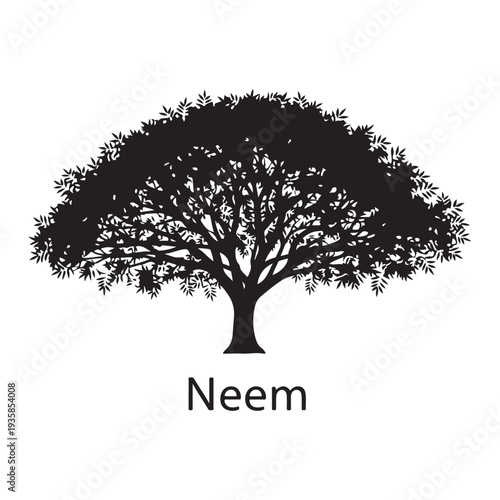 Neem tree silhouette isolated on white background, medicinal plant vector illustration