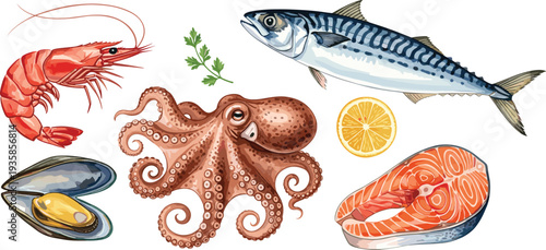 Seafood collection illustration with shrimp octopus mussel salmon and mackerel fish, fresh marine food ingredients vector set isolated on white background