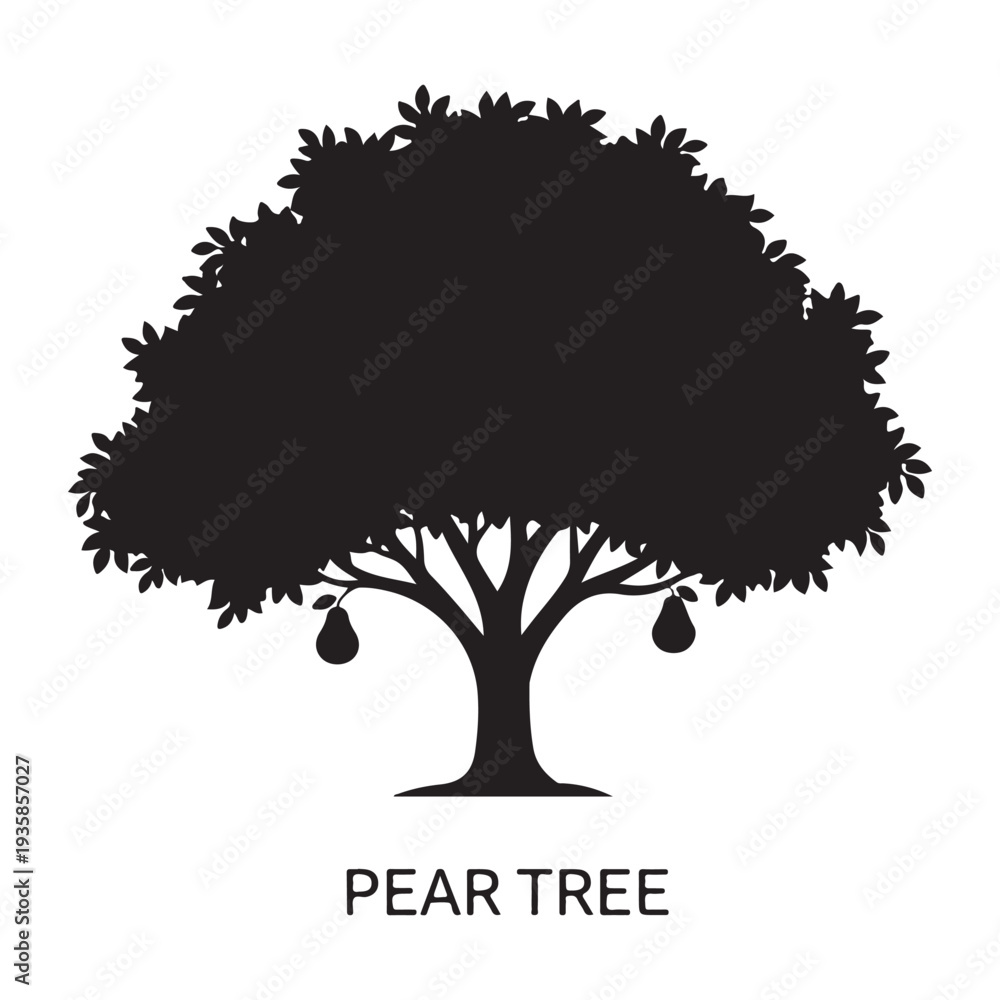 Fototapeta premium Pear tree silhouette with hanging fruits isolated on white background, vector illustration