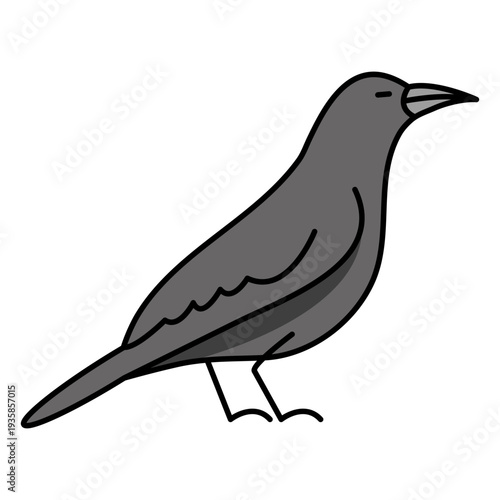 Grey pigeon color stroke profile