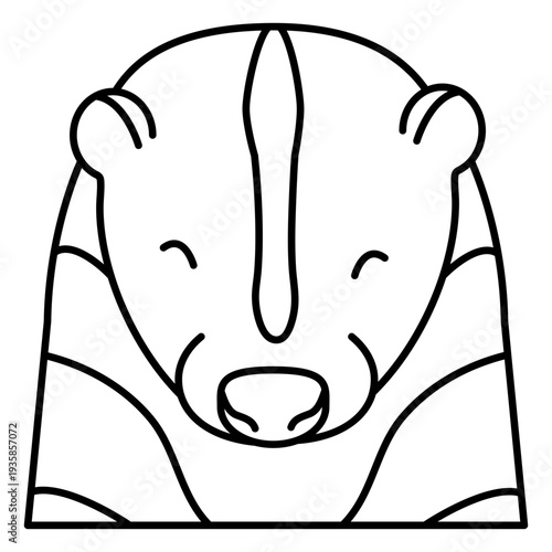 Wild animal bear stroke