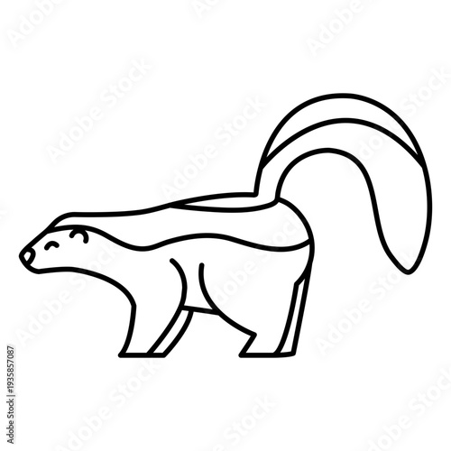Skunk animal stroke