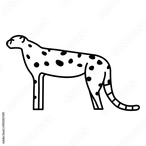 Cheetah fierce animal stroke