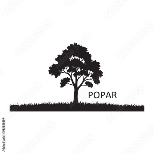 Poplar tree silhouette on grass line isolated on white background, vector illustration