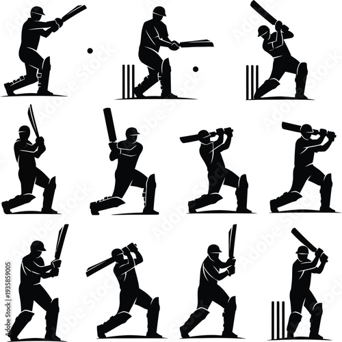 Adobe vector  Illustrator Artwork