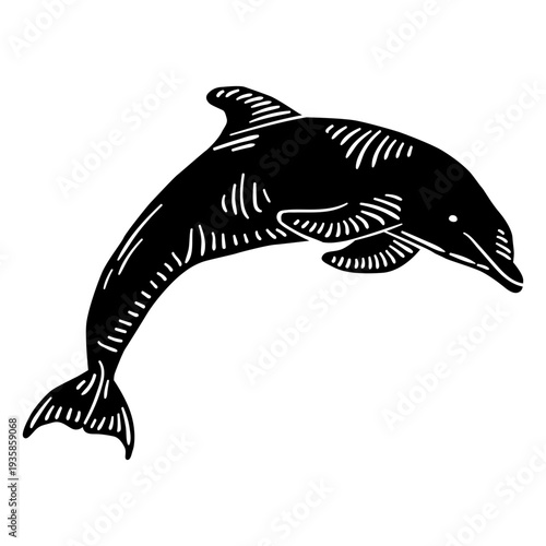 Swimming dolphin cut-out