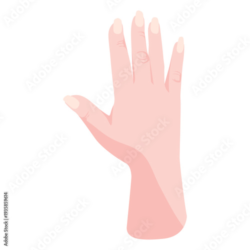 Raised semi flat open hand sign
