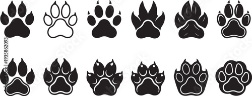 Collection of various animal paw prints for identification and comparison