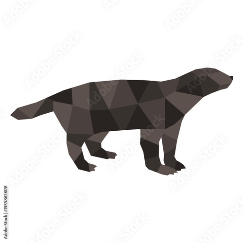 Color polygonal badger